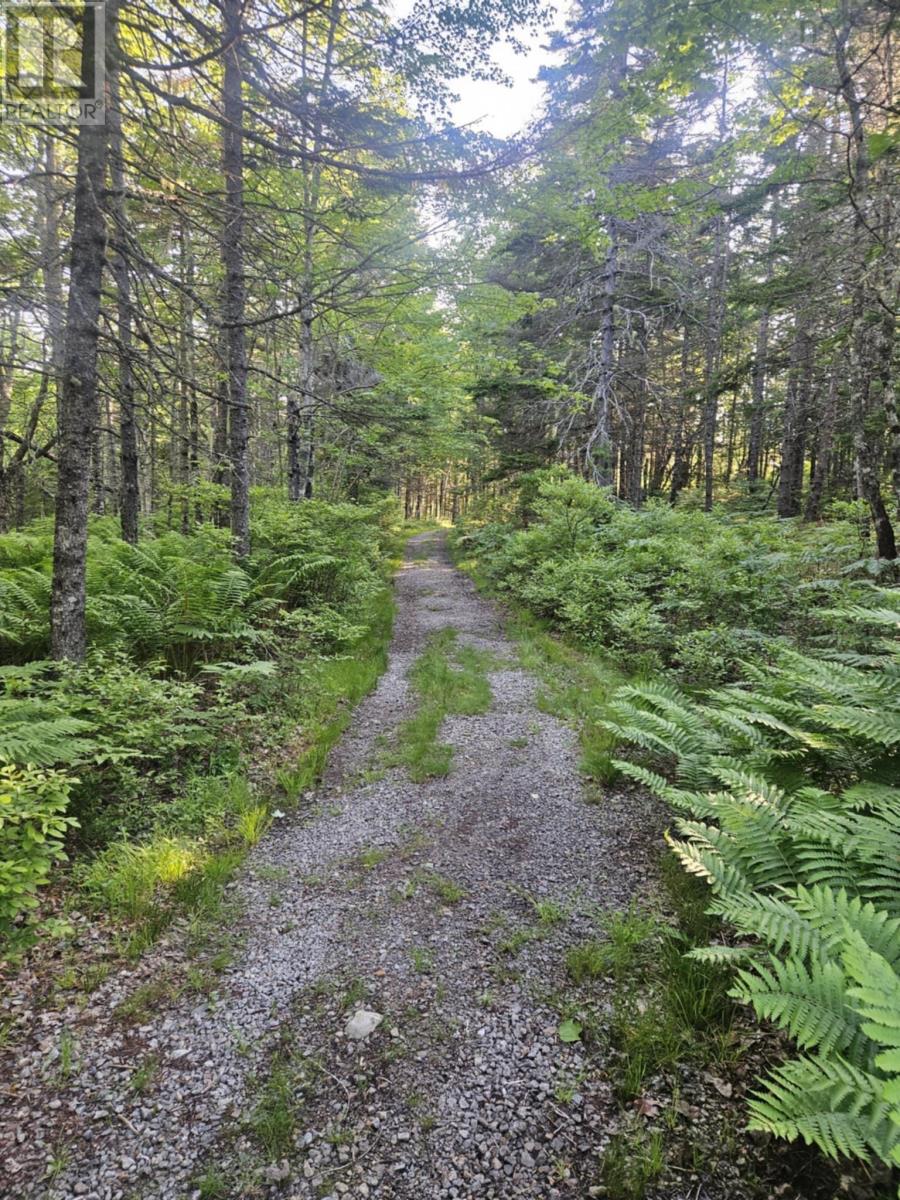 Property 46 of 49 of 54 Scott's Drive