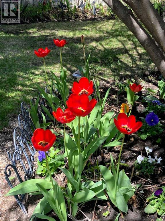 Single Family House Bungalow for Sale in    Avenue SE Penbrooke Meadows Calgary 