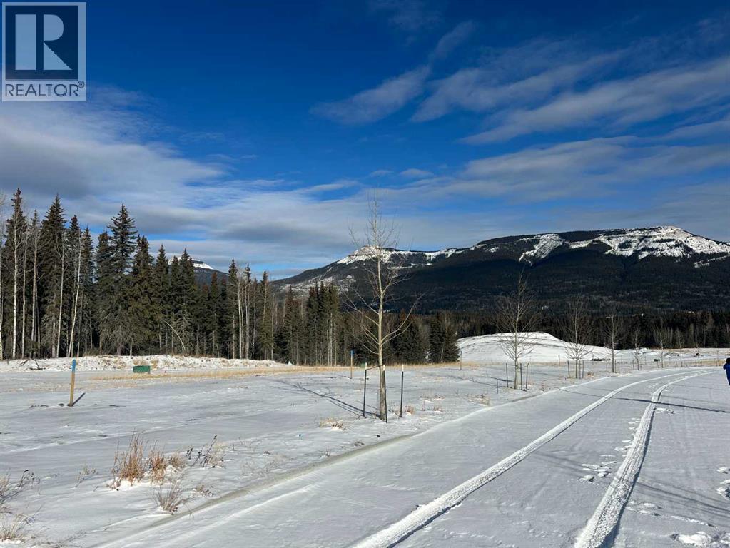 401 LILY Avenue - Photo 2 of 2, Nordegg, Alberta