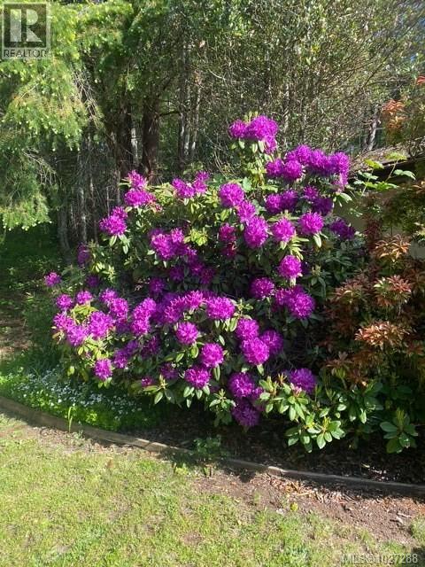 #113 2700 WOODBURN RD - 38