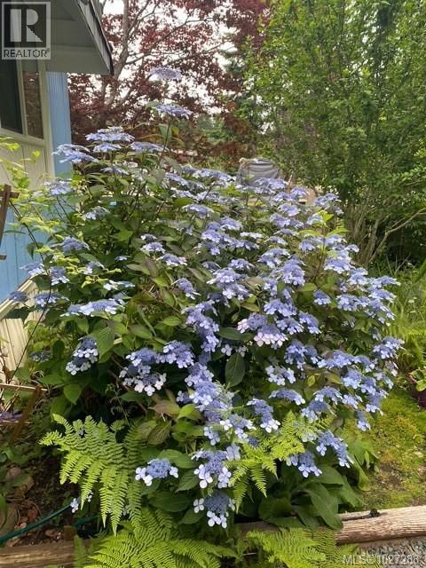 #113 2700 WOODBURN RD - 40