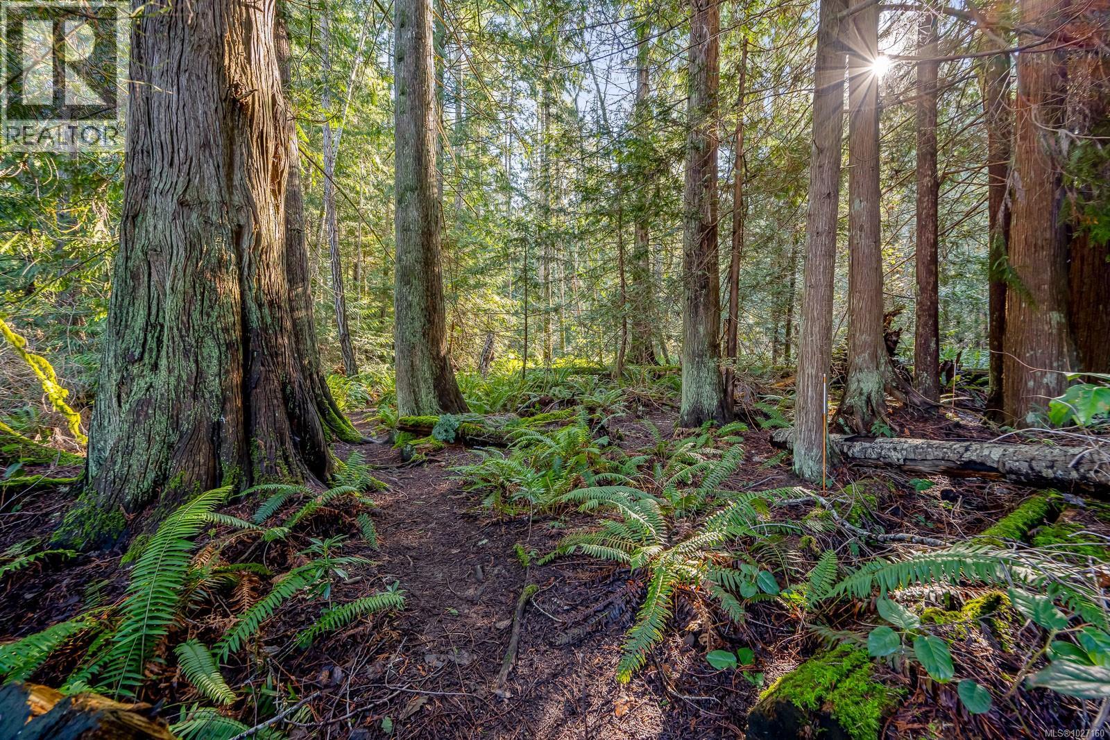 107 440 SCHLEY Pl, Qualicum Beach