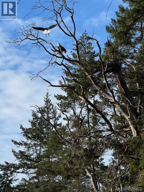 1665 Northwest Bay Rd, Nanoose Bay