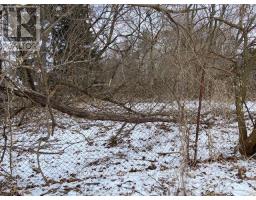 72 Meadowvale Road, Toronto, ON M1C1S1 Photo 19