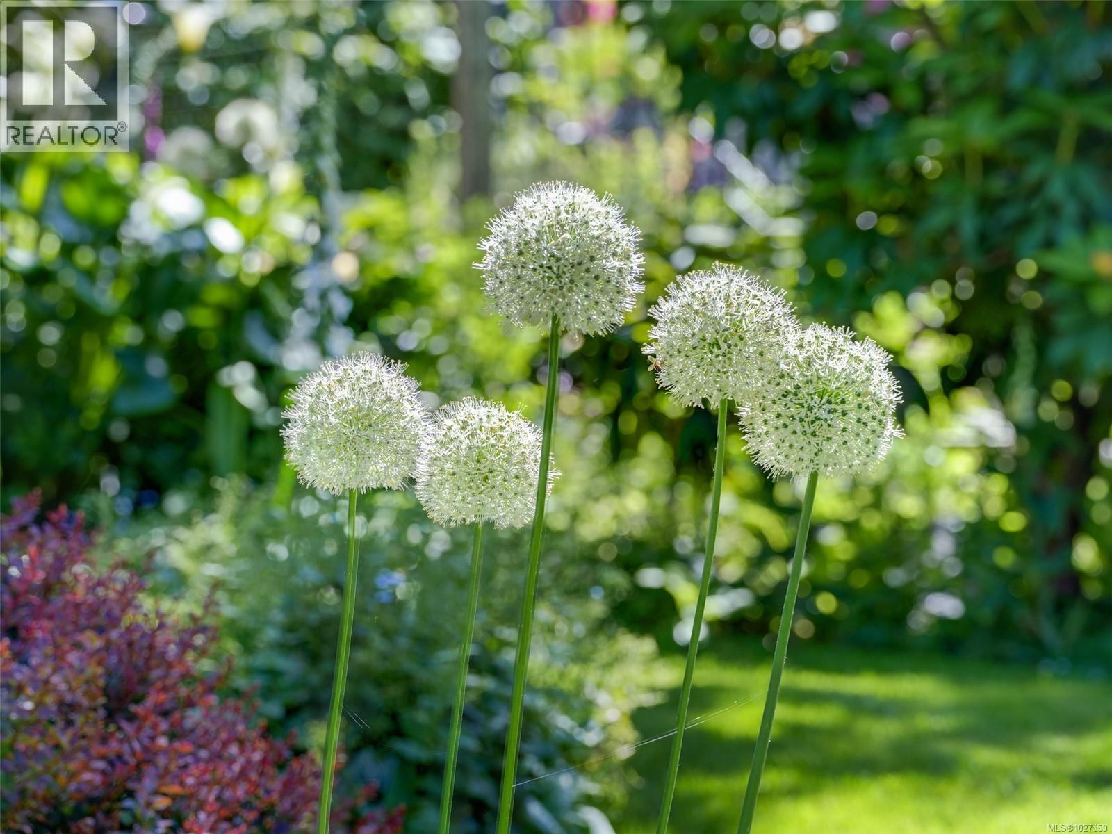  3215 Henderson Road, Oak Bay