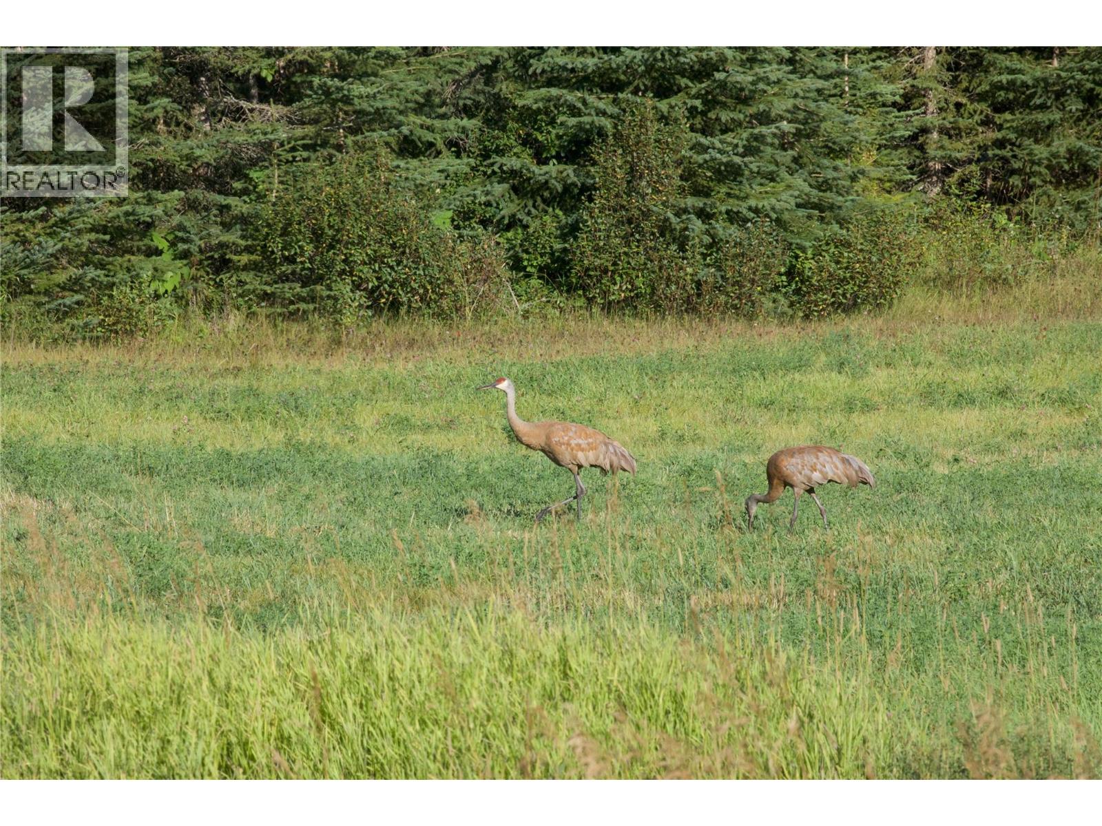 2550 Kettleston Road, Golden