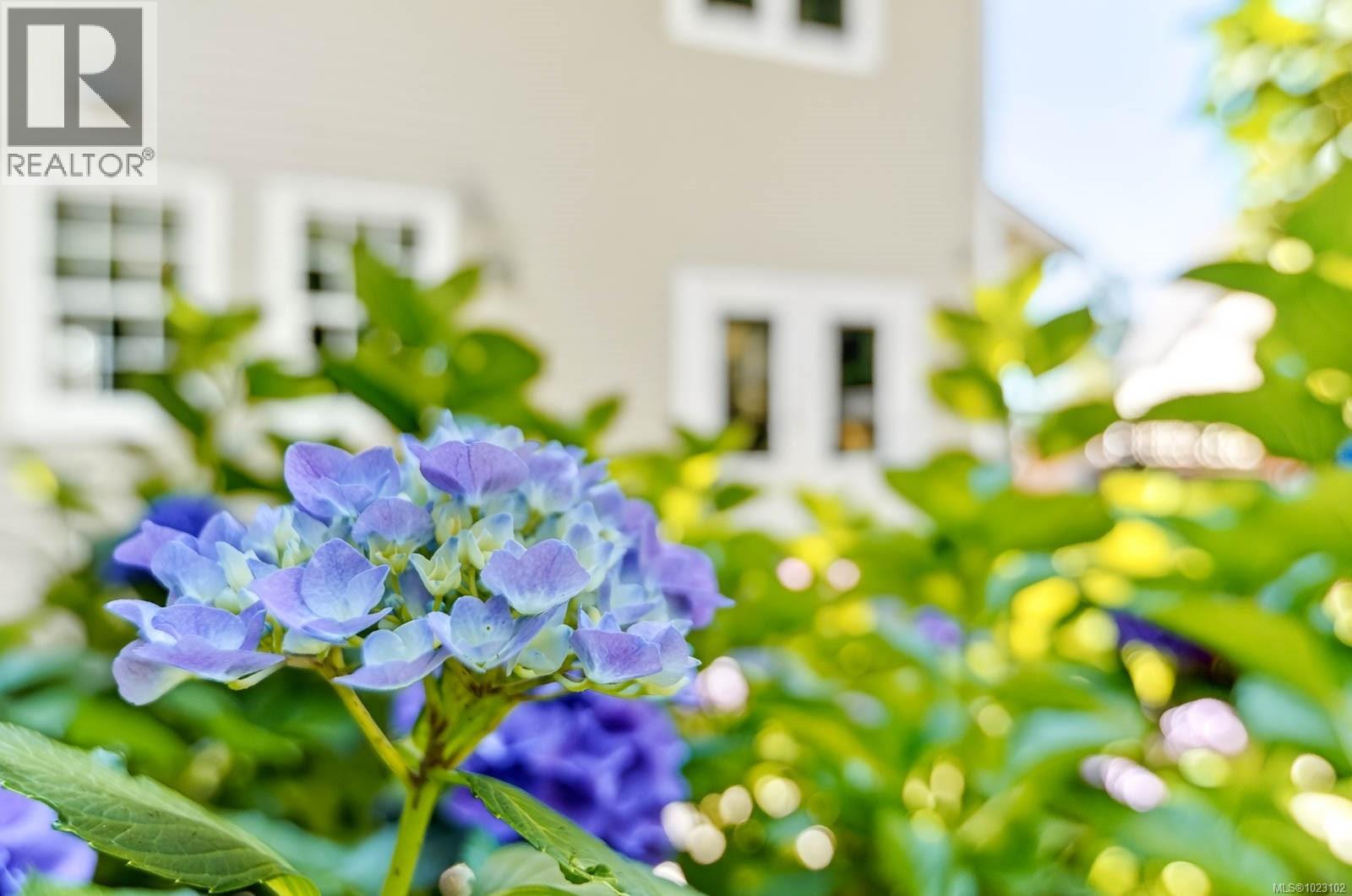 4455 Elizabeth St, Port Alberni