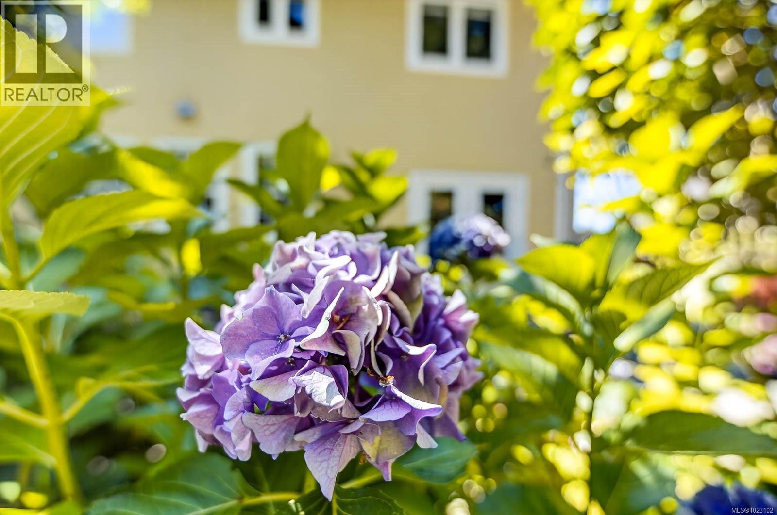 4455 Elizabeth St, Port Alberni