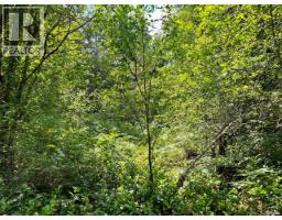 Parcel B Appaloosa Way, Duncan, BC V9L6J1 Photo 6