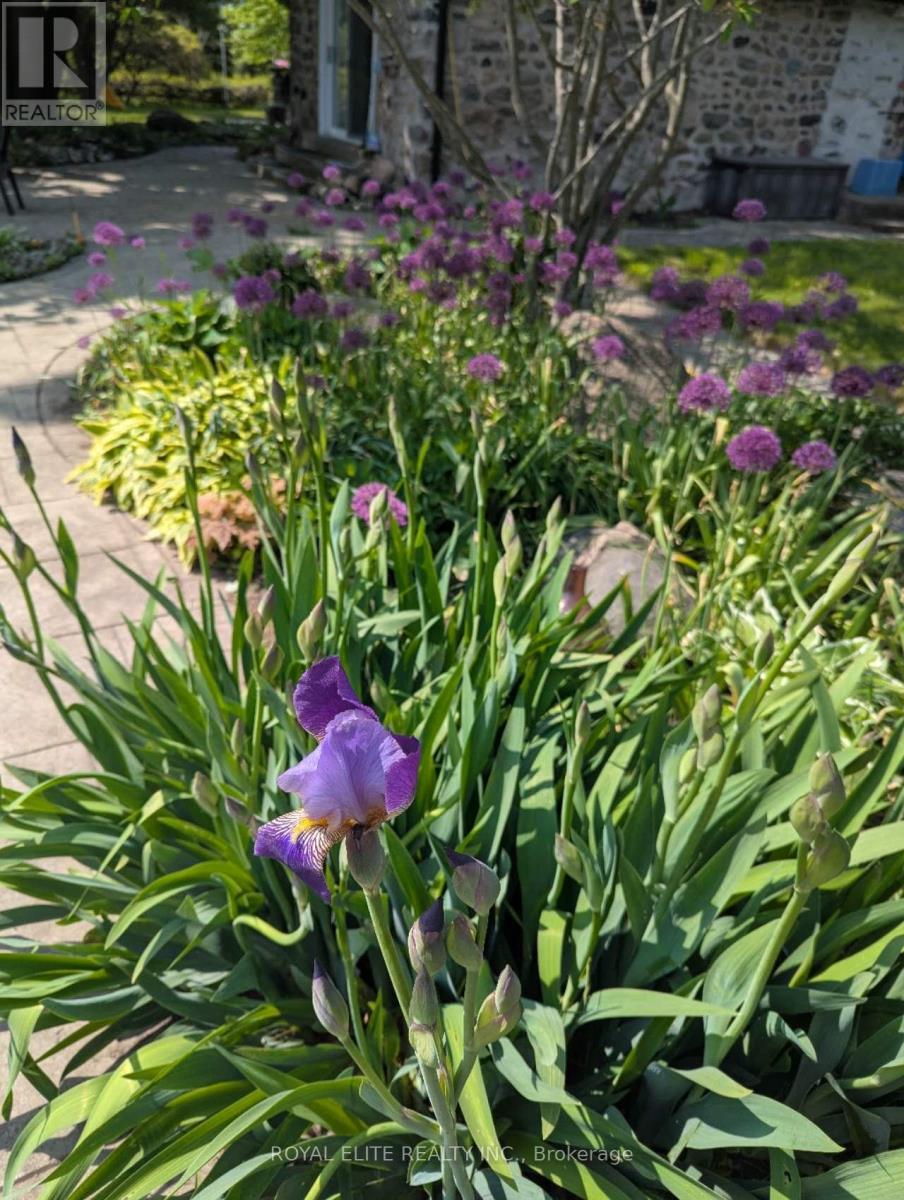 Address available upon request - Main photo