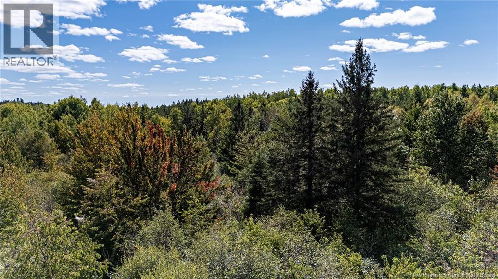 Lot 79-9 De La Traverse