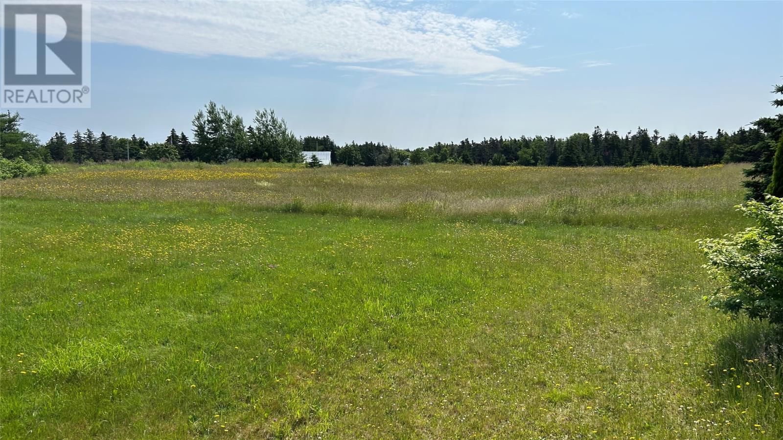 525 Cartyville Road - 22