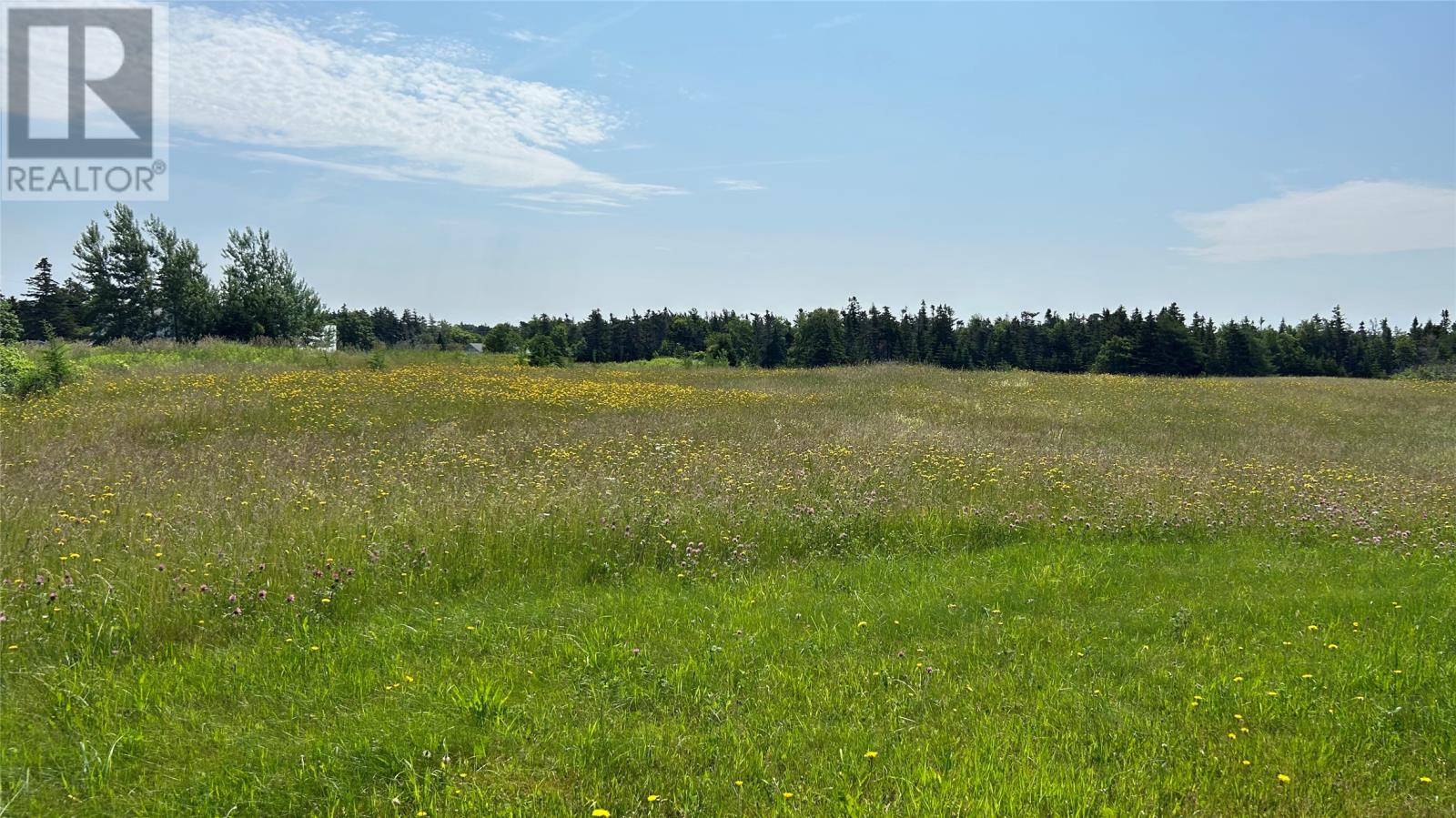 525 Cartyville Road - Image 24