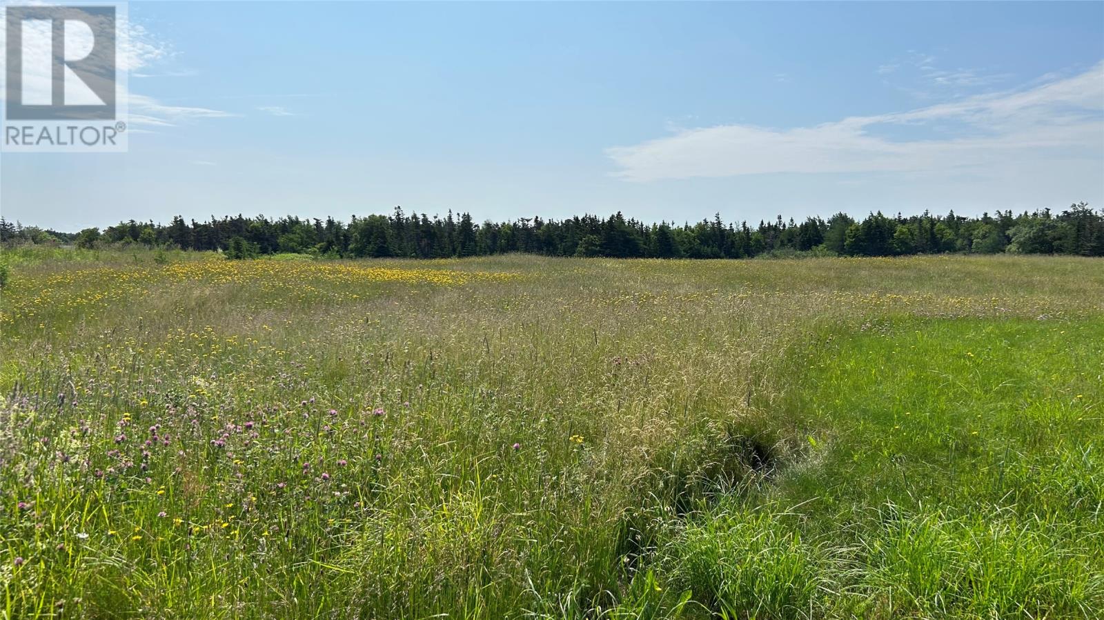 525 Cartyville Road - 27