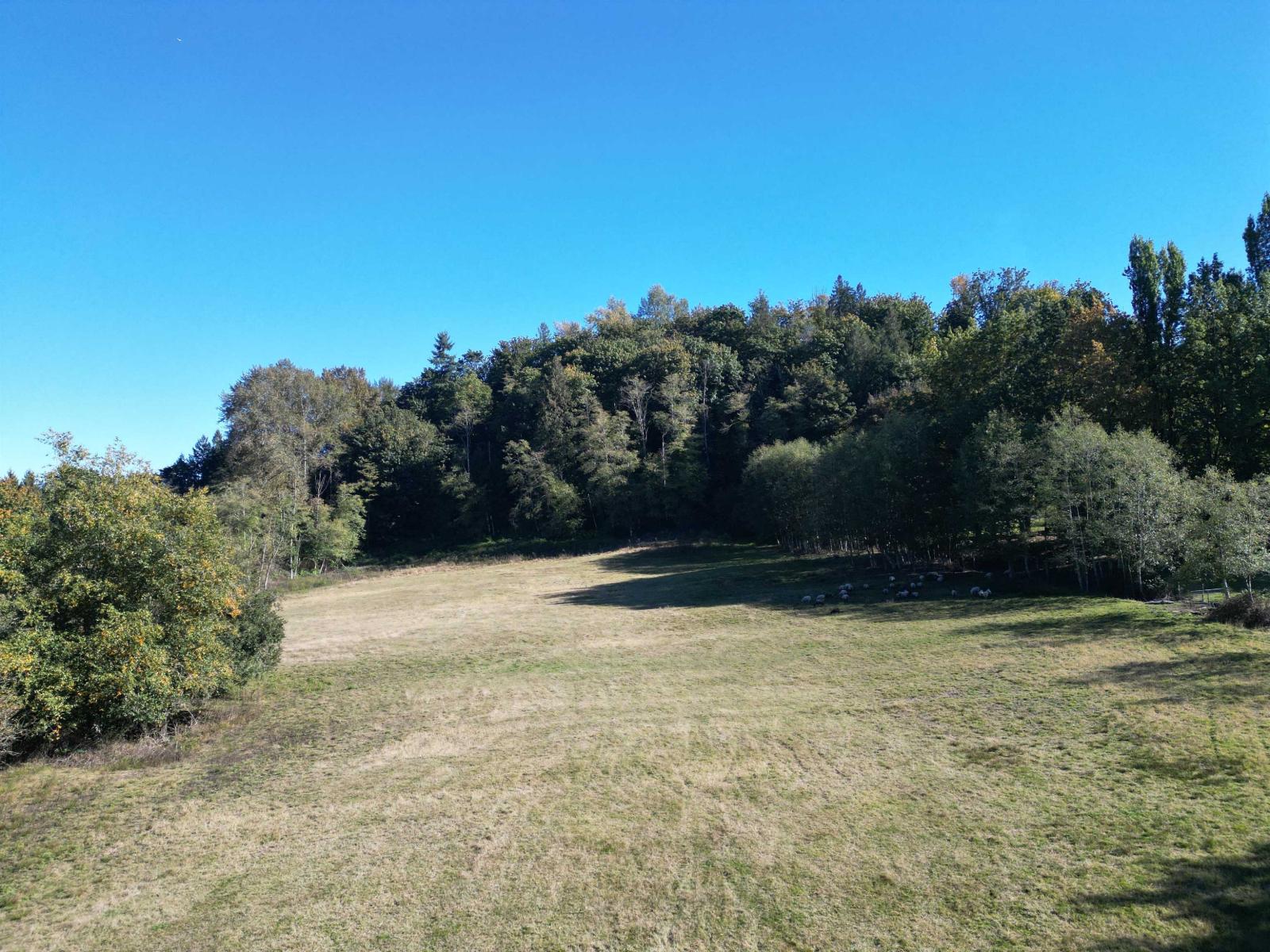 8410 BRADNER ROAD, Abbotsford