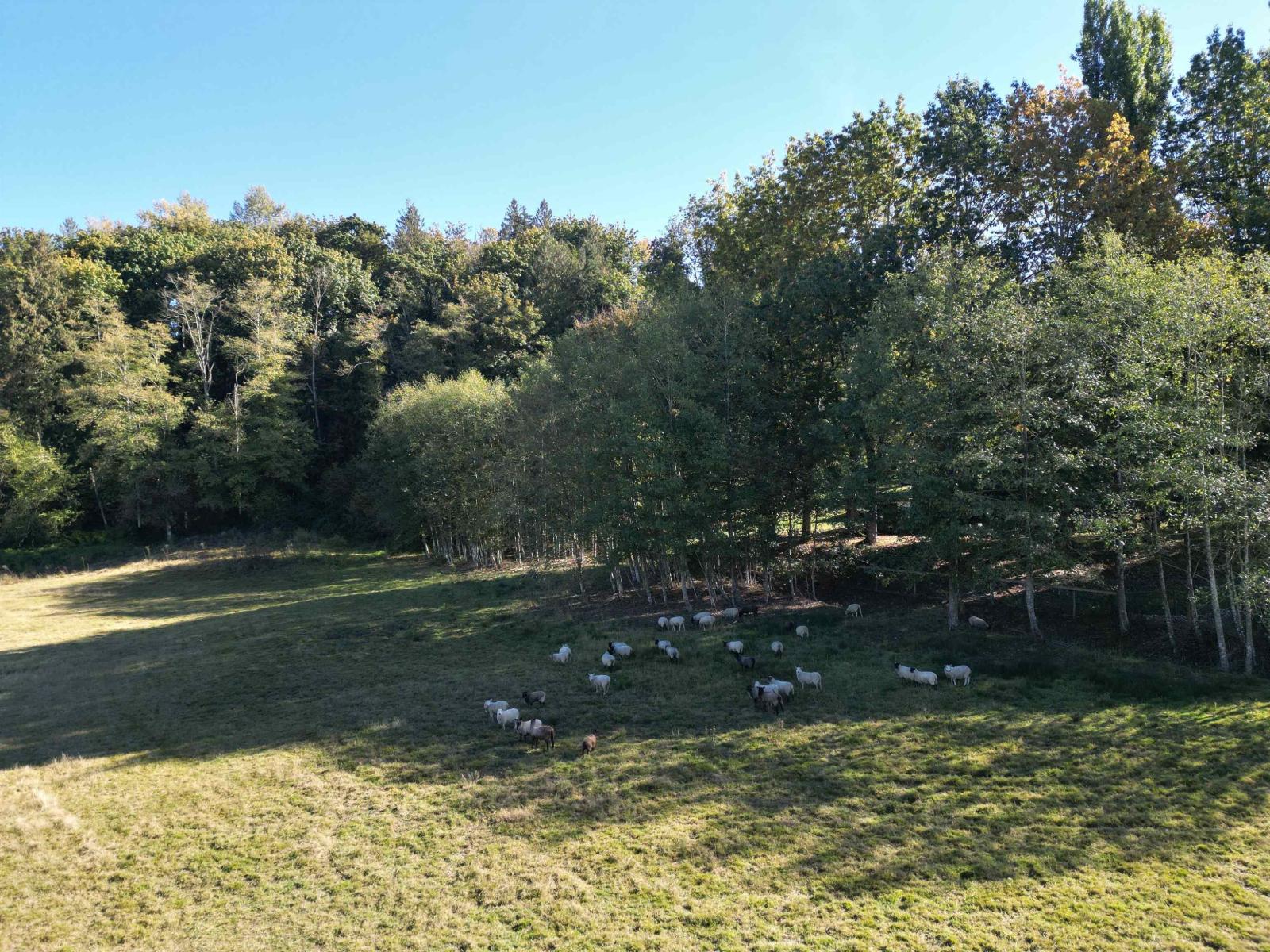 8410 BRADNER ROAD, Abbotsford