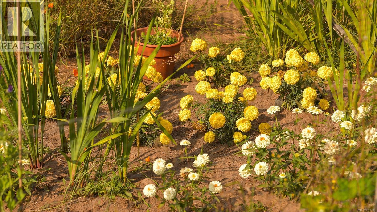 1695 Cultra Ave, Central Saanich