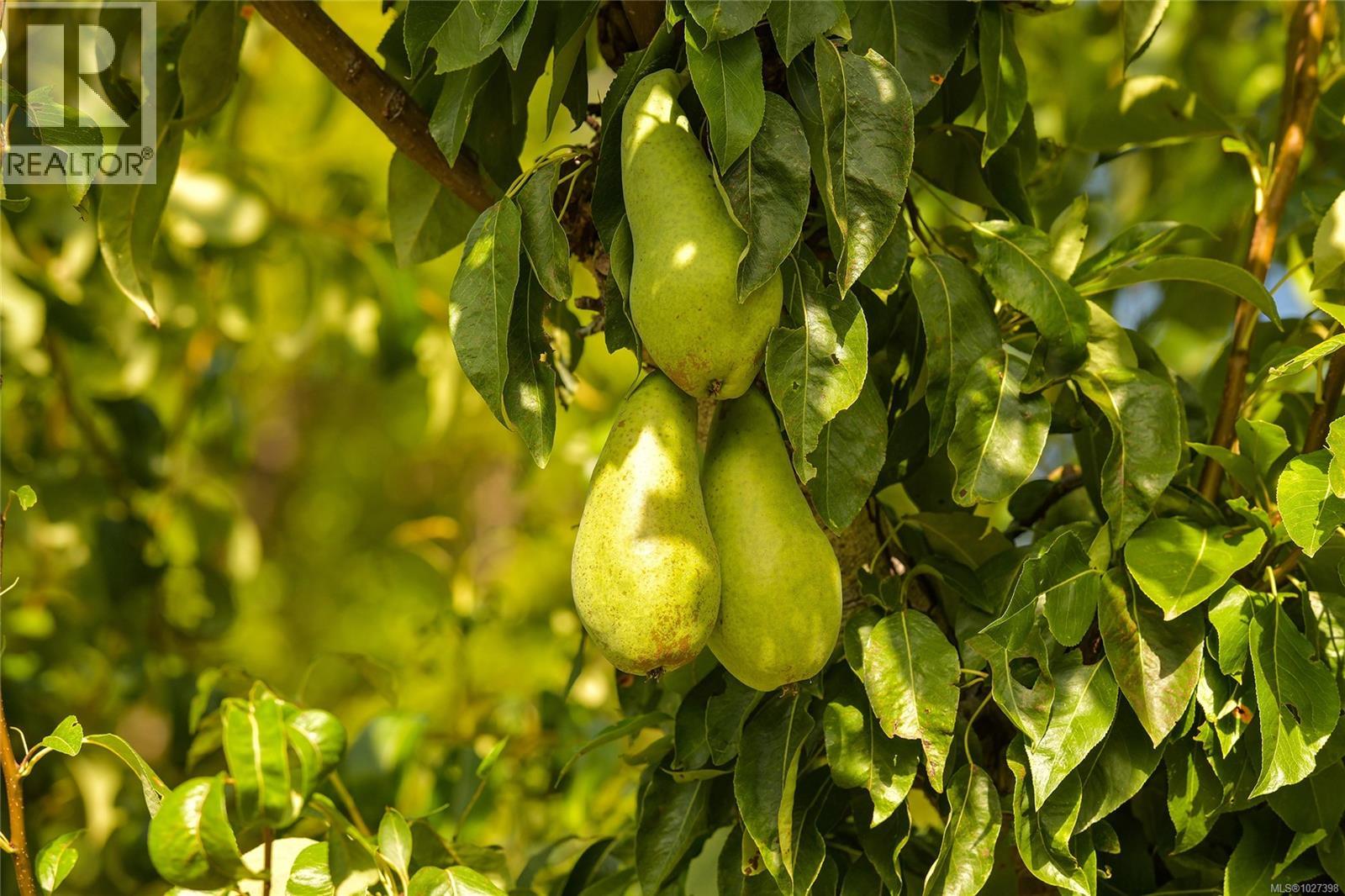 1695 Cultra Ave, Central Saanich