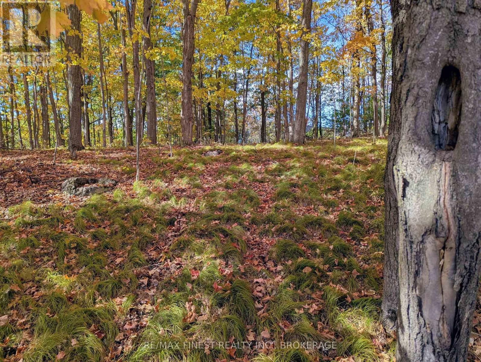 6224 BATTERSEA ROAD - Photo 5 of 11, Frontenac (Frontenac South), Ontario