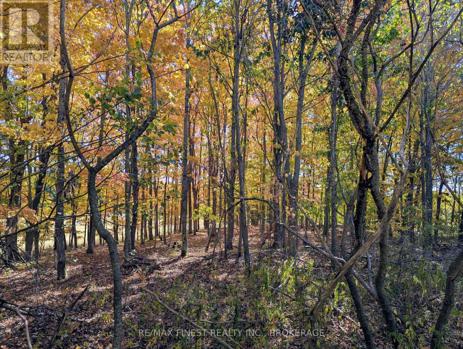 6224 BATTERSEA ROAD - Photo 4 of 11, Frontenac (Frontenac South), Ontario