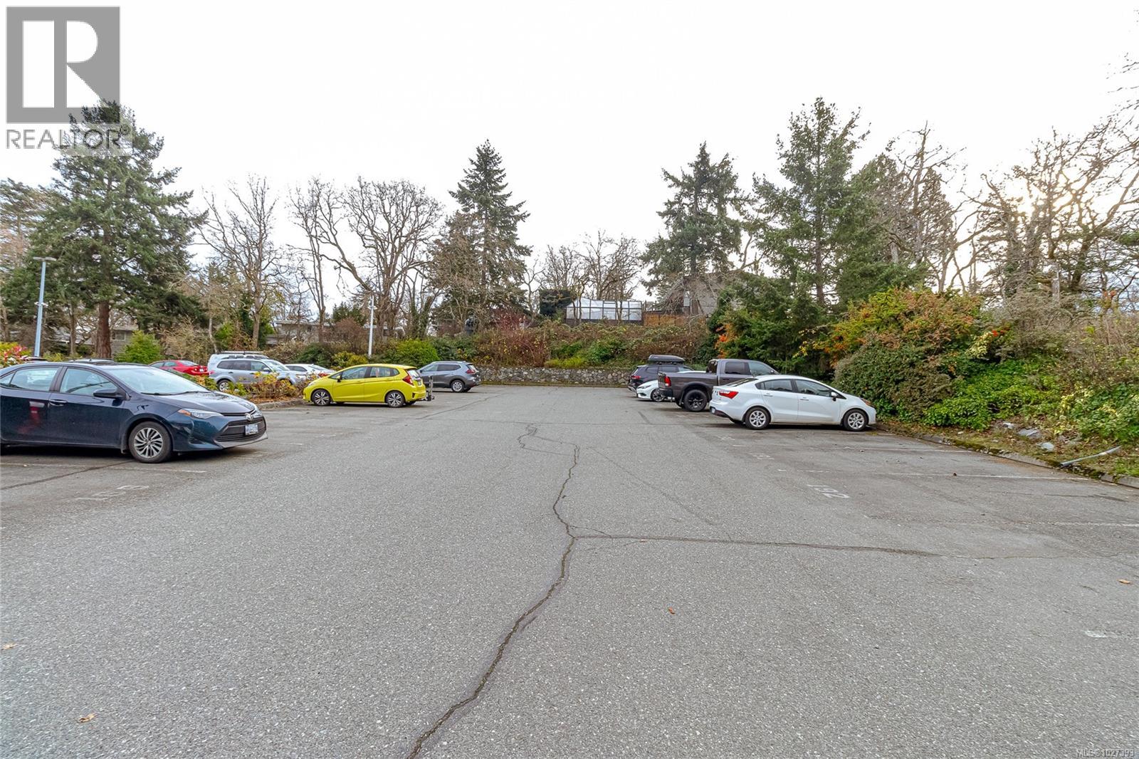 #419 1005 MCKENZIE AVE - 49