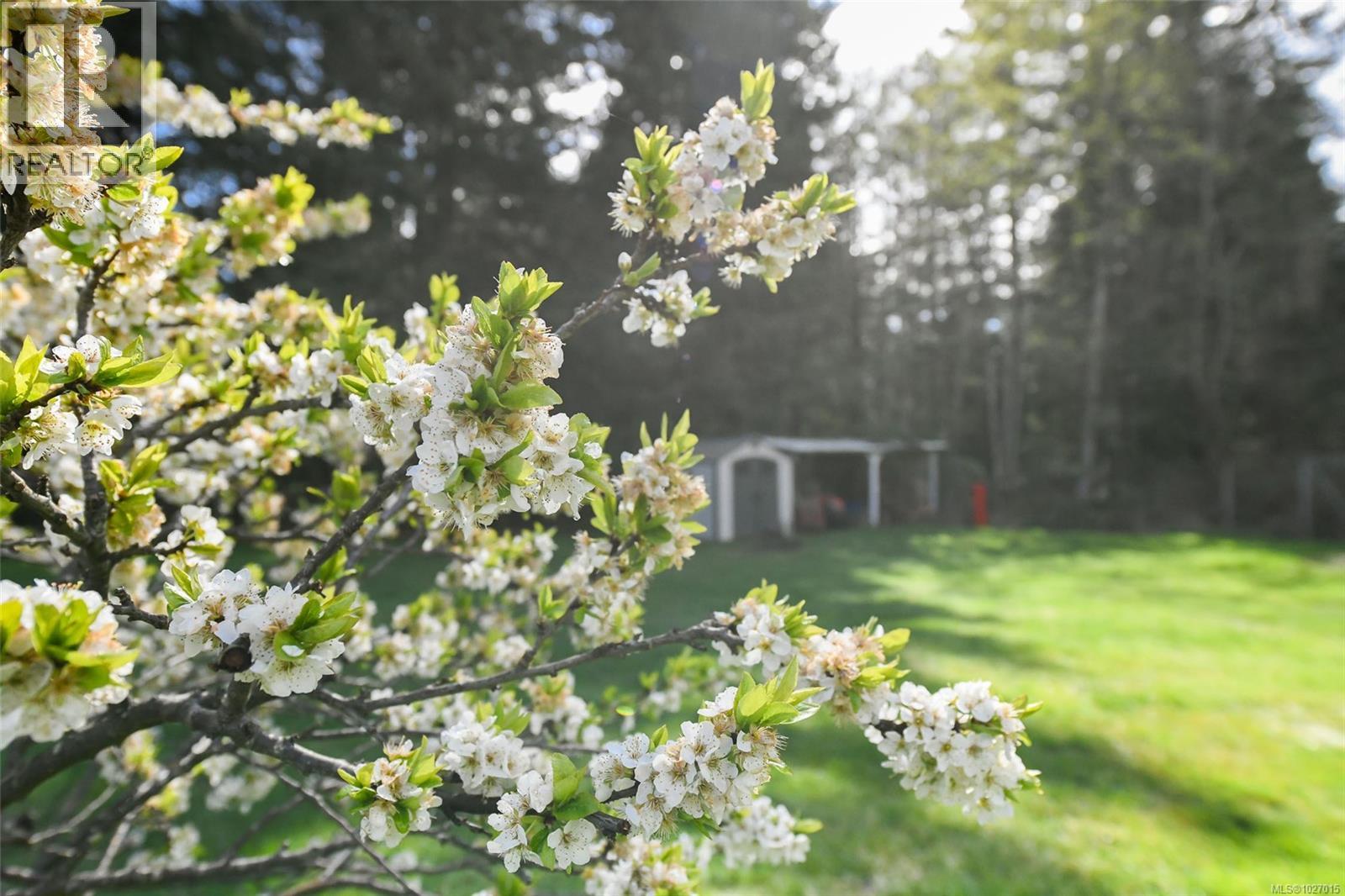 1787 Ryan Rd E, Comox