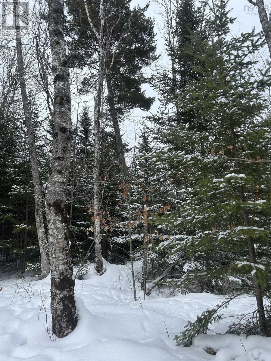 2 Highway 289 Highway - Photo 5 of 5, Middle Stewiacke, Nova Scotia