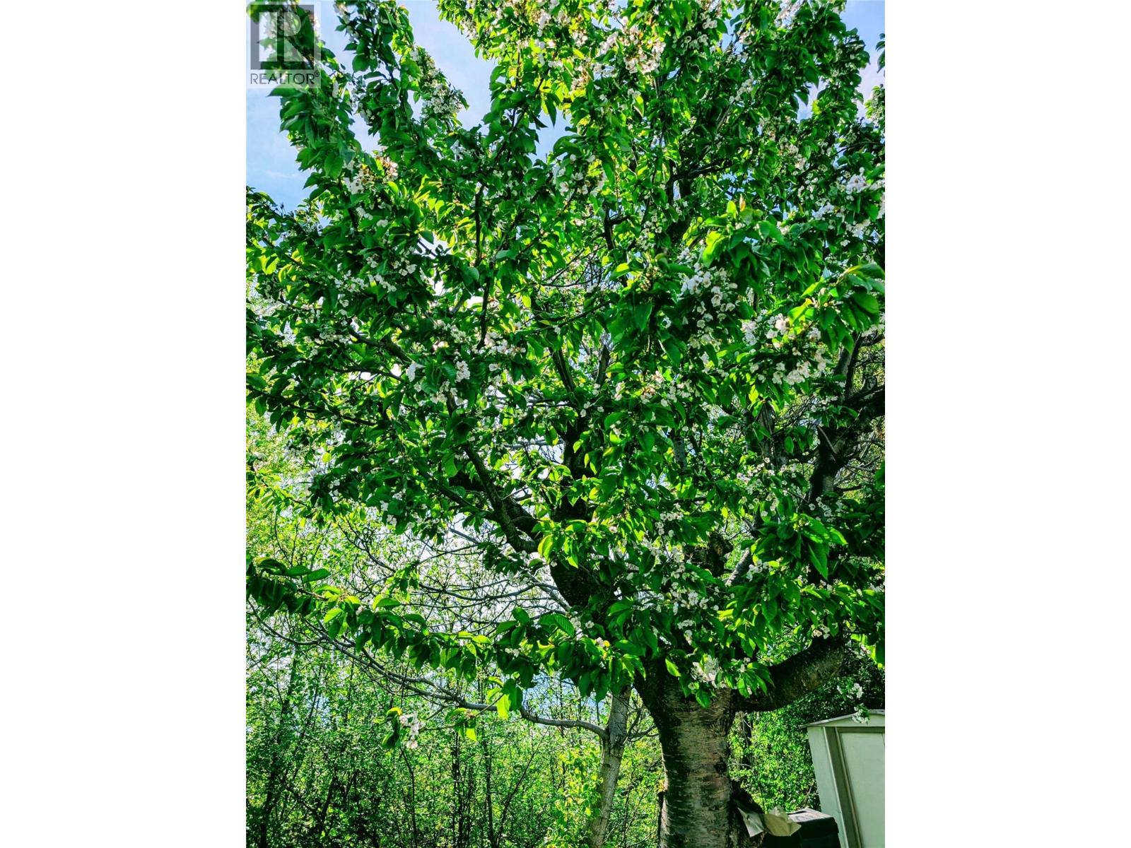 28 1881 Boucherie Road, Westbank