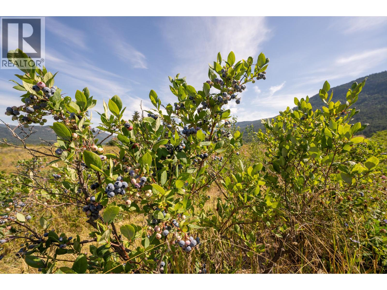  184 Monks Road, Grindrod