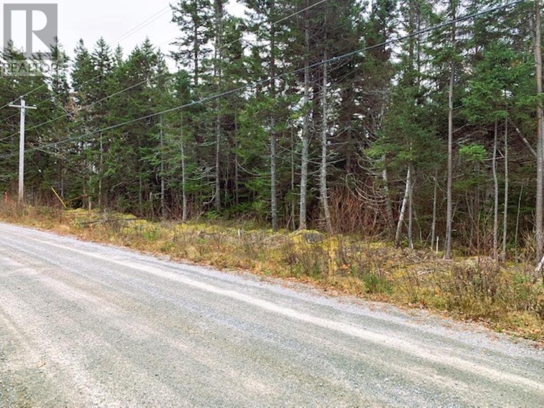 Lot County Line Station Road - Photo 3 of 4, East Port Medway, Nova Scotia