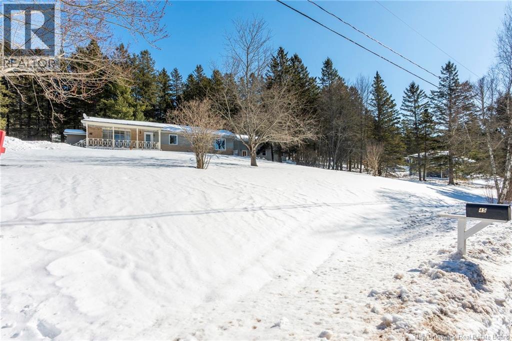 7 MORGAN STREET - 50