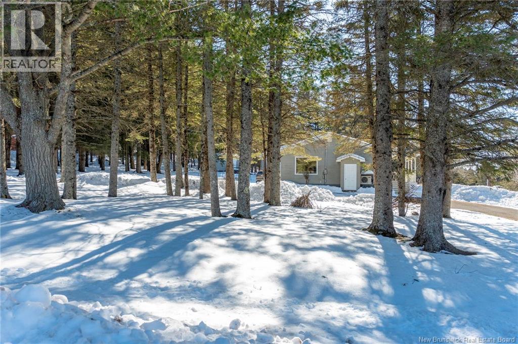 7 MORGAN STREET - 49