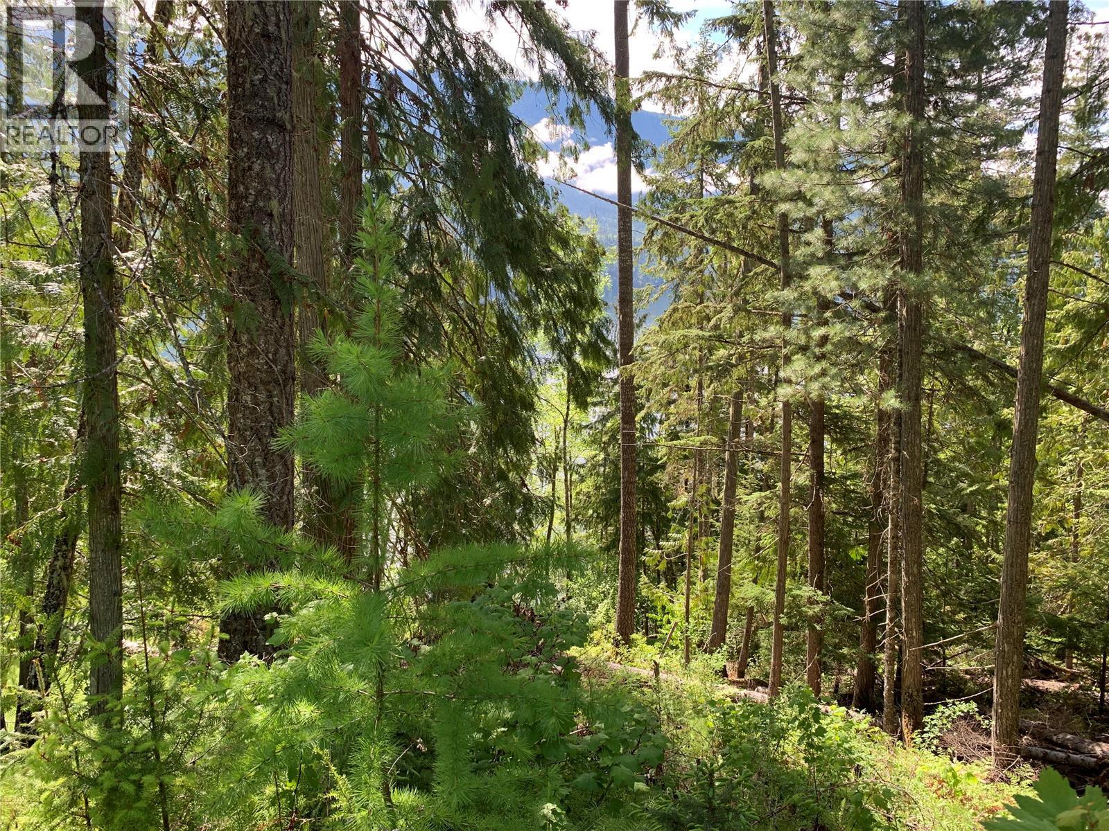 28 Simard Road, Mabel Lake