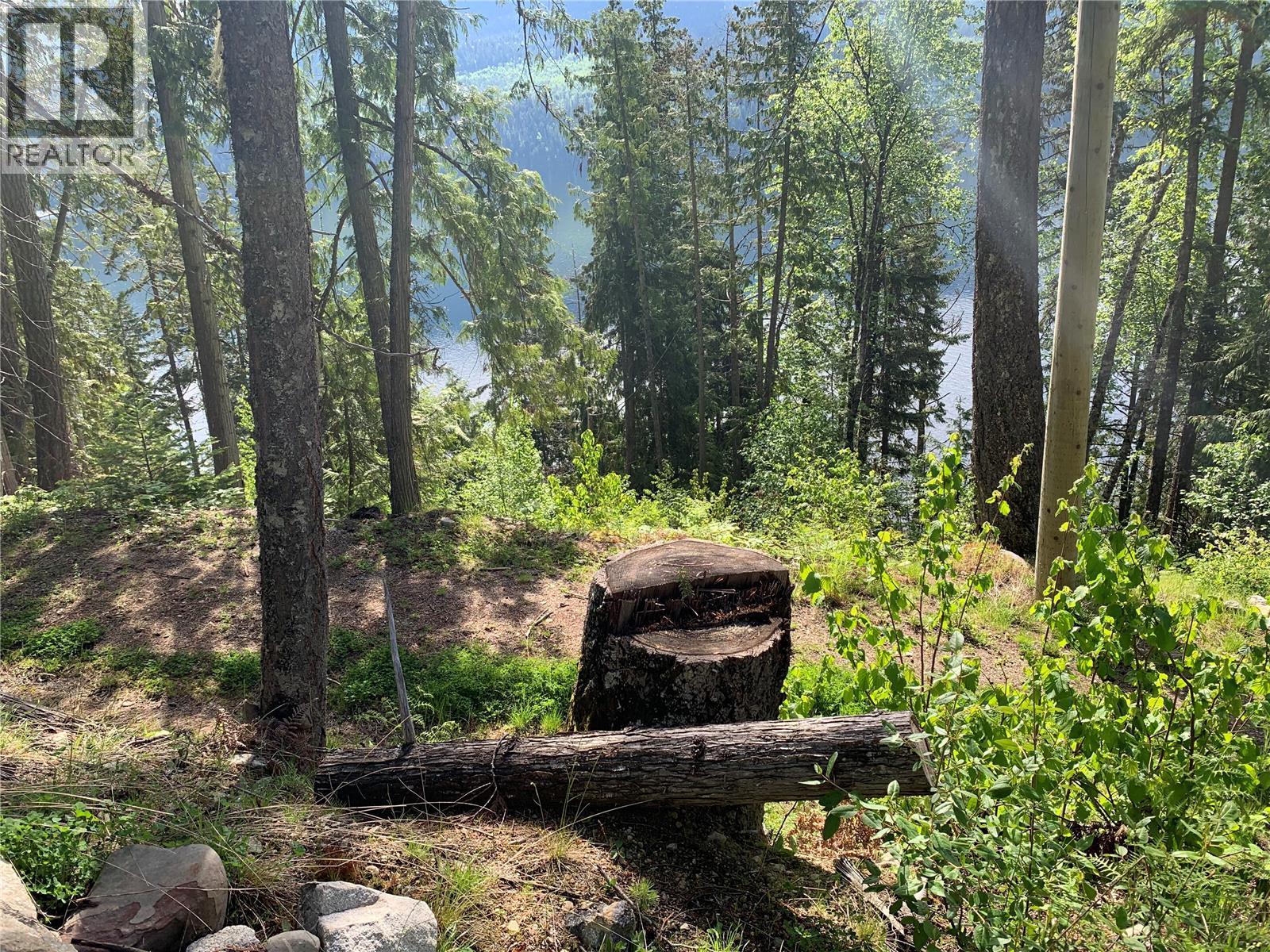 28 Simard Road, Mabel Lake