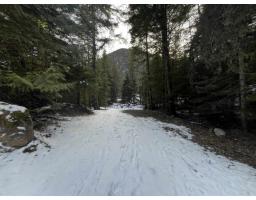 Sve97 Old Hope Princeton Highway, Sunshine Valley, Sunshine Valley, BC V0X1L5 Photo 23