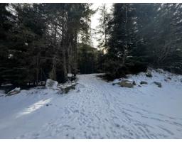 Sve97 Old Hope Princeton Highway, Sunshine Valley, Sunshine Valley, BC V0X1L5 Photo 24