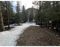 Sve97 Old Hope Princeton Highway, Sunshine Valley, Sunshine Valley, BC V0X1L5 Photo 22