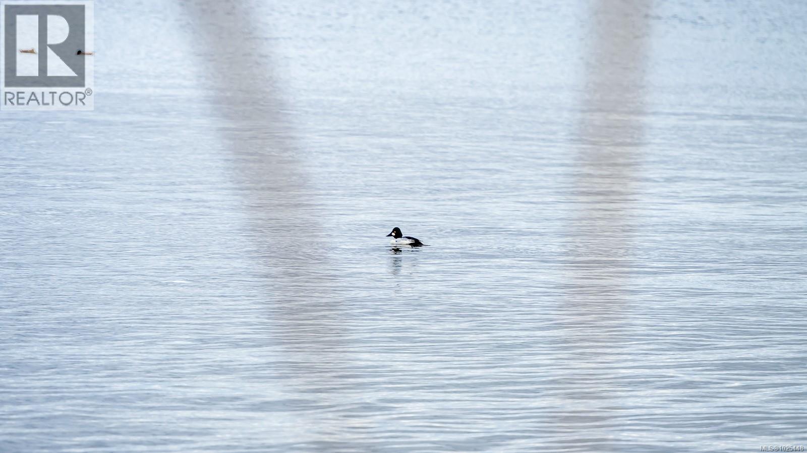 1426 WILKINSON RD - 65