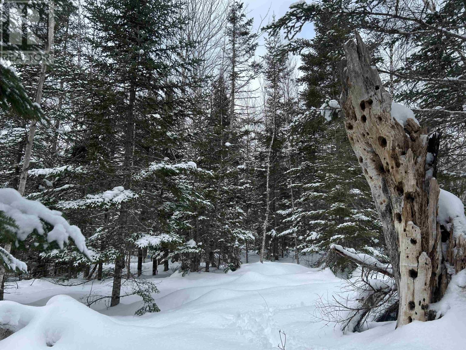 Property 5 of 5 of 1 Highway 289 Highway