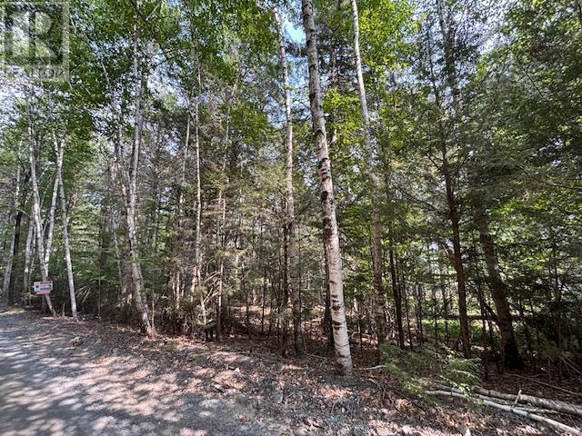 Property 12 of 28 of Lot 25 Beaver Dam Trail