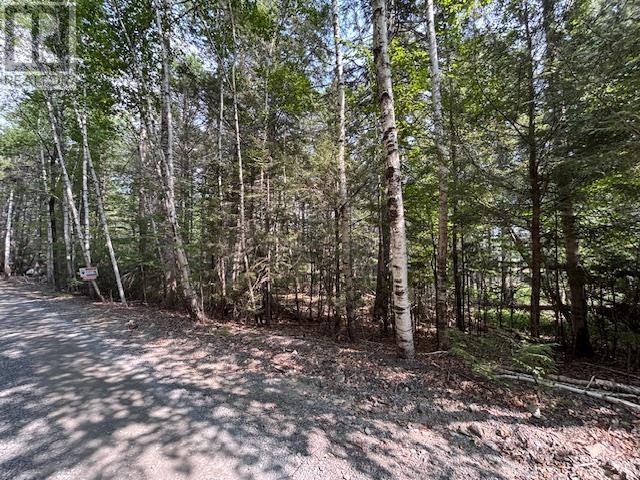 Property 11 of 28 of Lot 25 Beaver Dam Trail