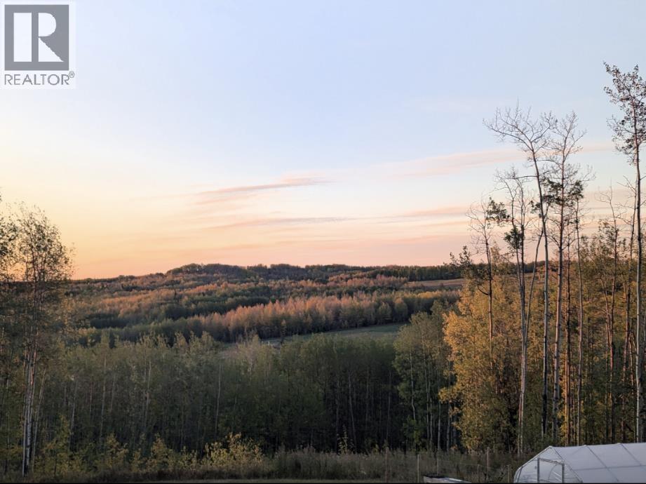 13389 DONIS ROAD - 39