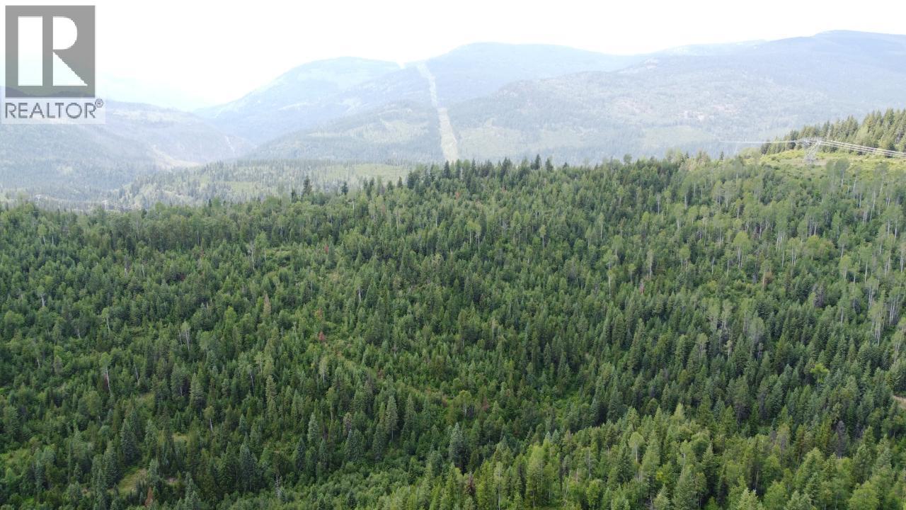 549 ROSEBUD LAKE Road, Salmo