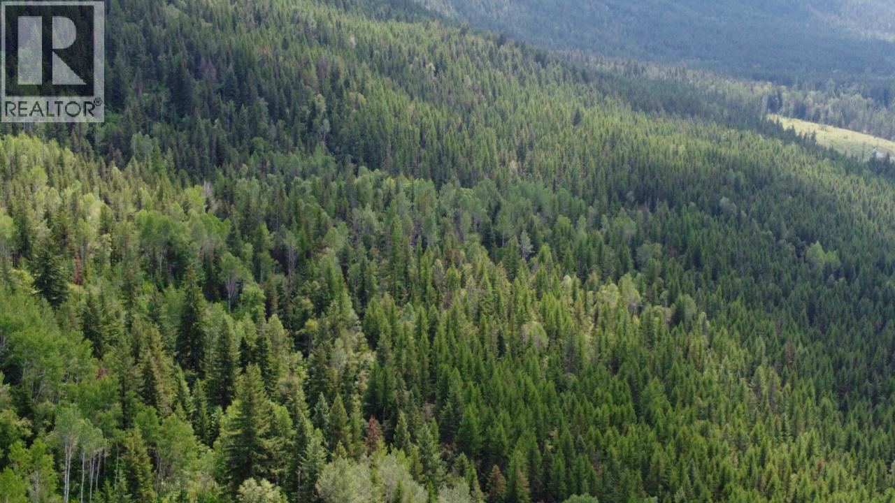 549 ROSEBUD LAKE Road, Salmo