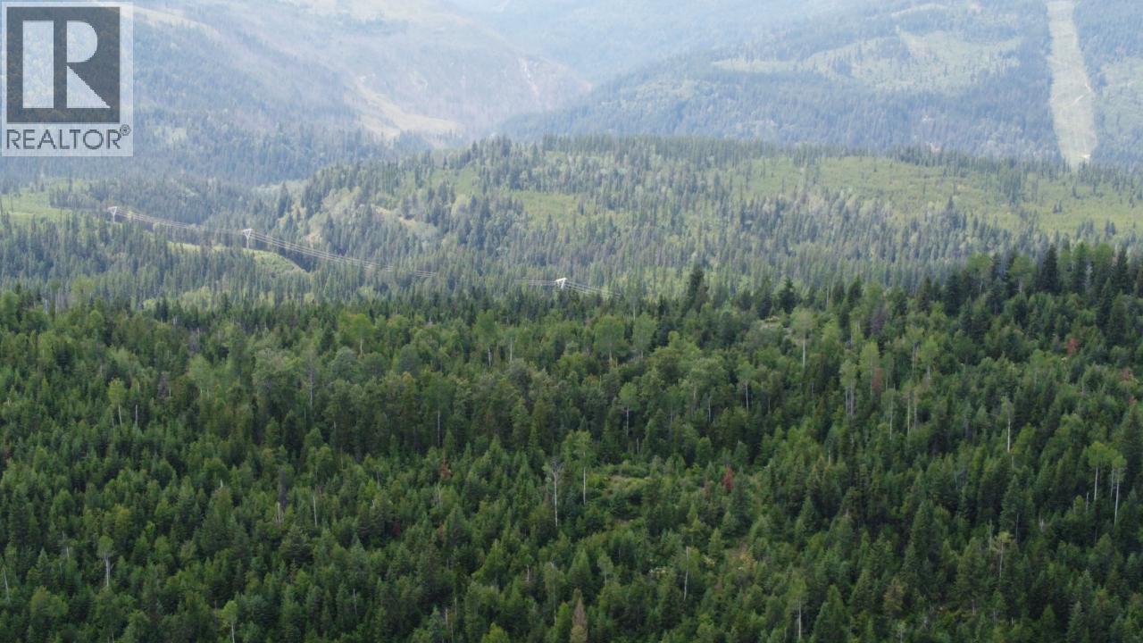 549 ROSEBUD LAKE Road, Salmo