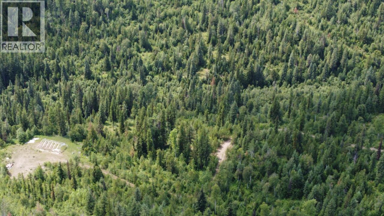 549 ROSEBUD LAKE Road, Salmo