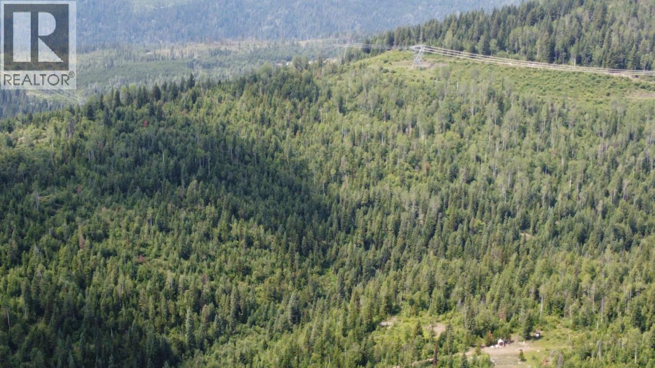 549 ROSEBUD LAKE Road, Salmo