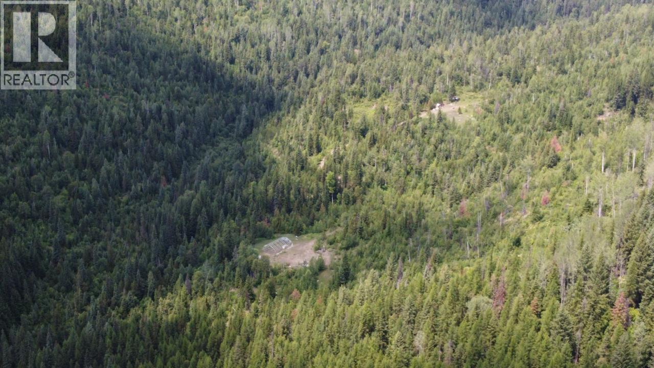 549 ROSEBUD LAKE Road, Salmo