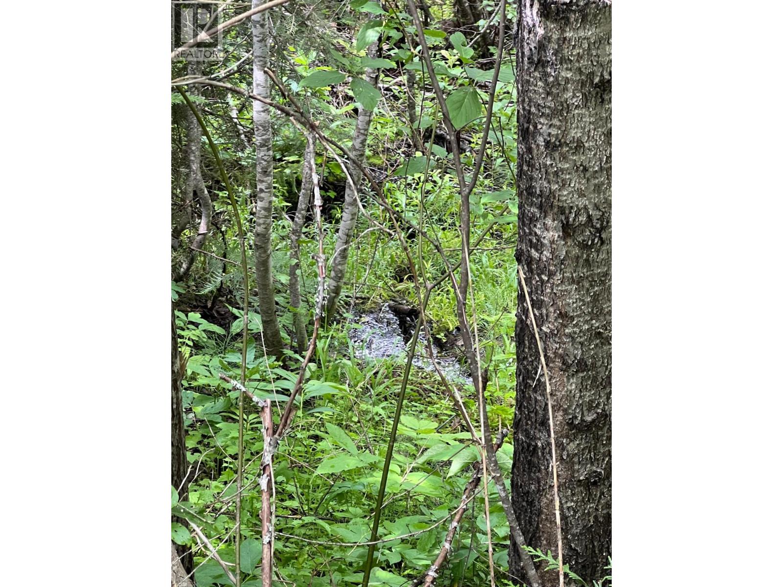 549 ROSEBUD LAKE Road, Salmo