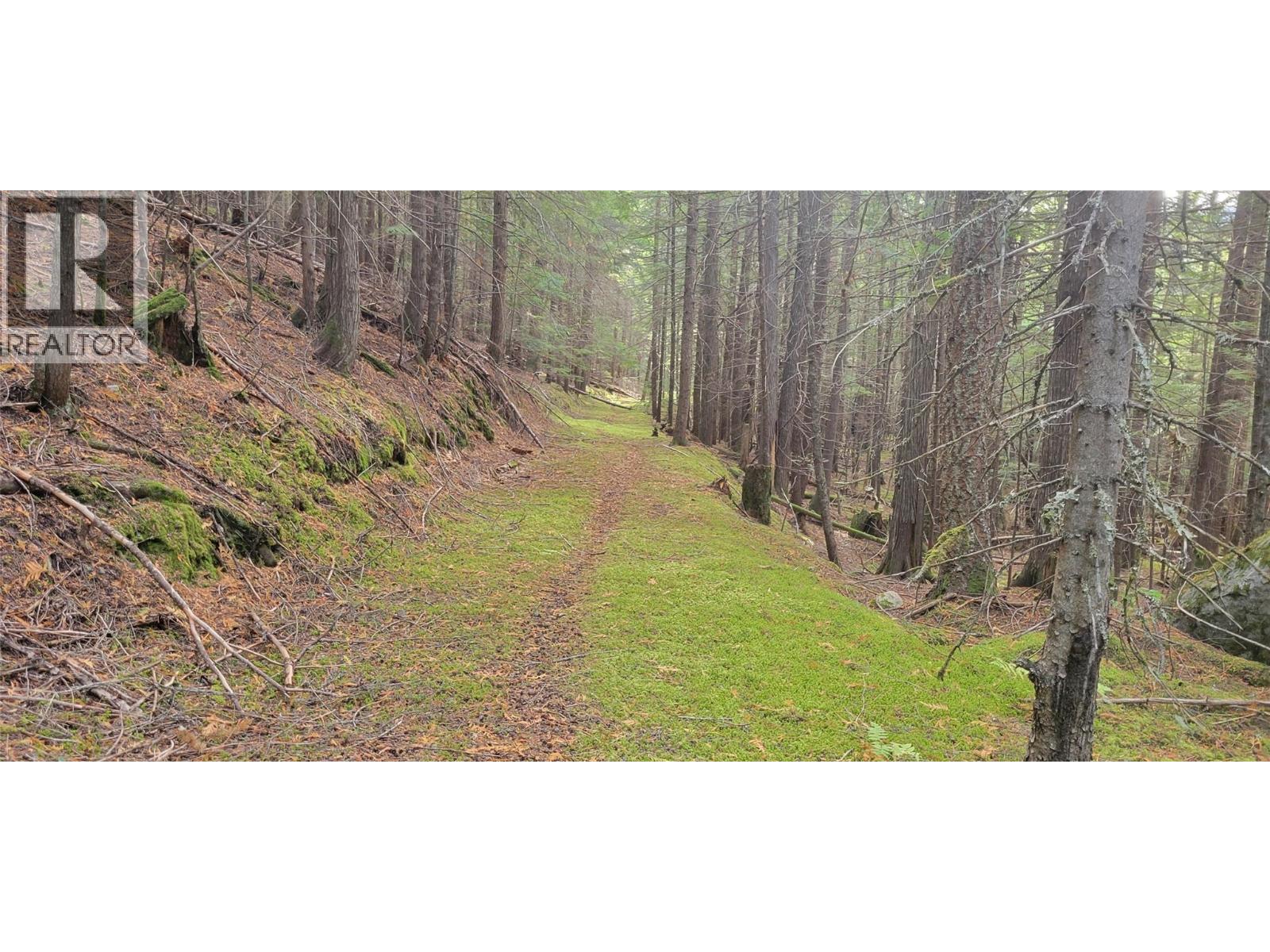 549 ROSEBUD LAKE Road, Salmo